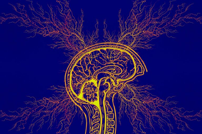 LA SINDROME DI TOURETTE