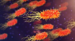 INFEZIONE DA PROTEUS MIRABILIS UN BATTERIO RESISTENTE